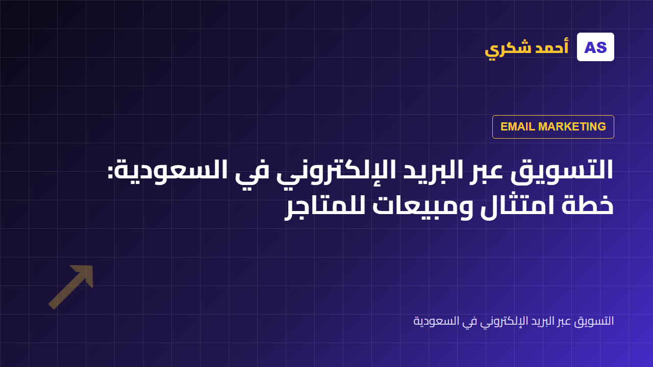 التسويق عبر البريد الإلكتروني في السعودية